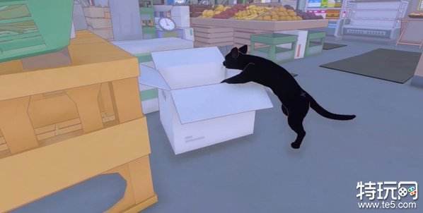 小猫咪大城市五个箱子在哪 小猫咪大城市箱子位置一览