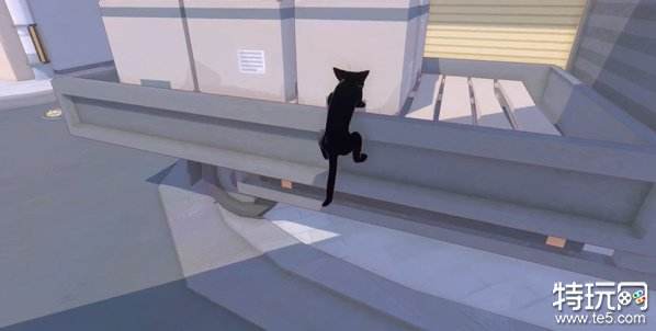 小猫咪大城市五个箱子在哪 小猫咪大城市箱子位置一览