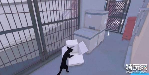 小猫咪大城市五个箱子在哪 小猫咪大城市箱子位置一览