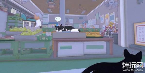 小猫咪大城市五个箱子在哪 小猫咪大城市箱子位置一览