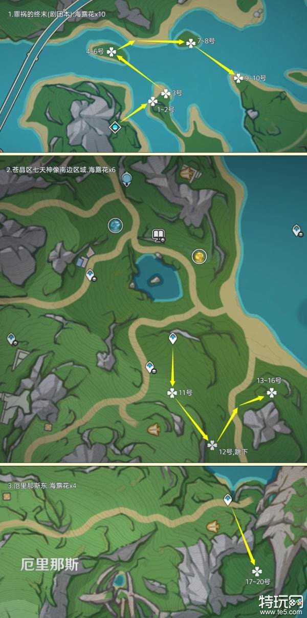 原神海露花采集路线图一览 海露花采集地点在哪里