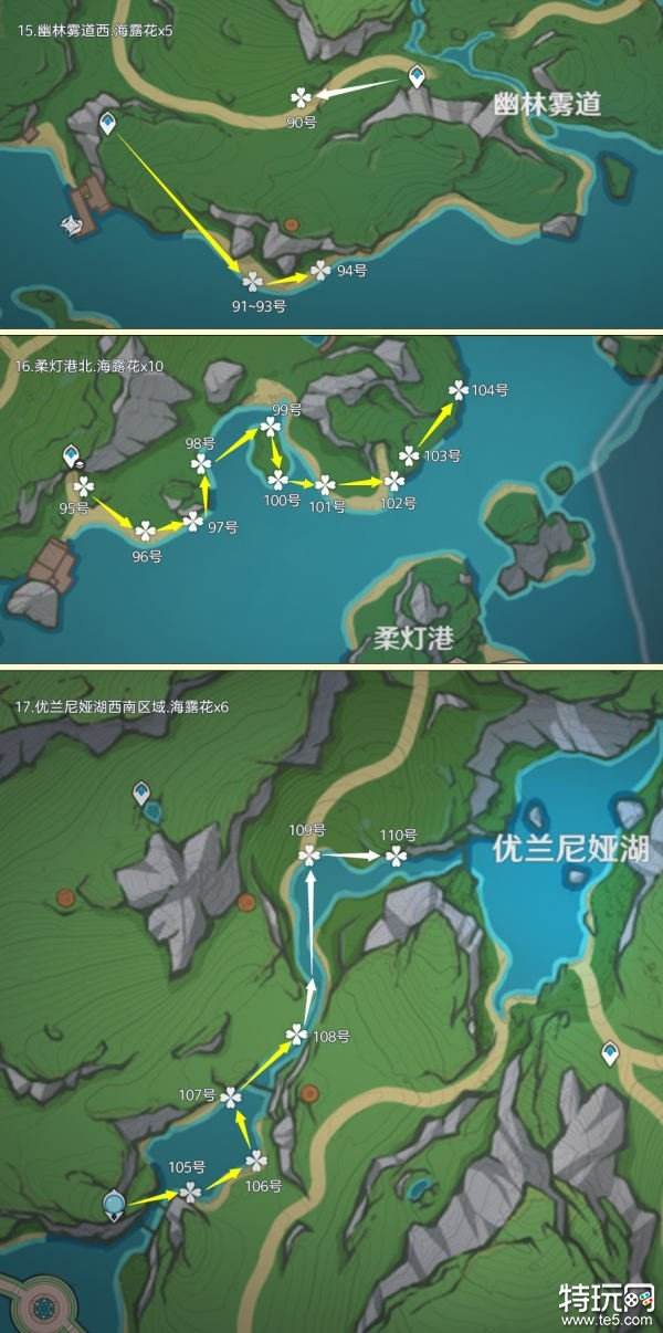 原神海露花采集路线图一览 海露花采集地点在哪里