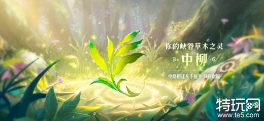 王者荣耀数据回顾植物有哪些 9周年庆数据回顾植物一览